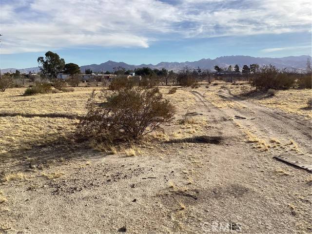 Newberry Springs, CA 92365,42979 Mandrill Street