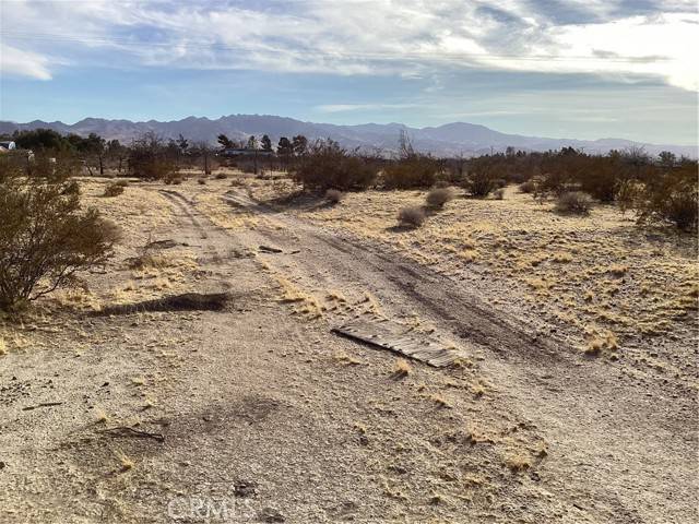 Newberry Springs, CA 92365,42979 Mandrill Street