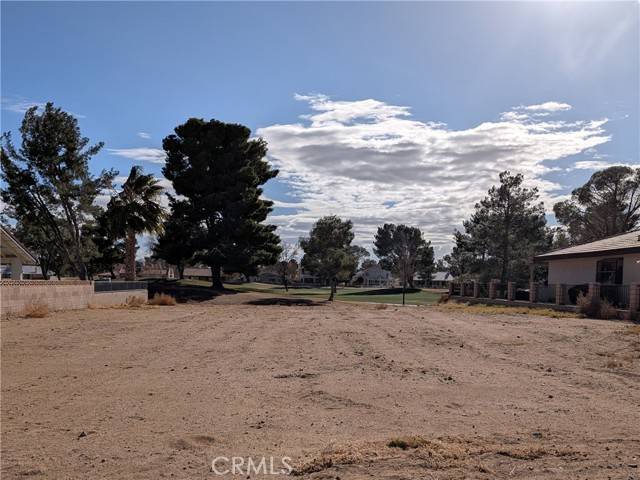 Helendale, CA 92342,14907 Tournament Drive