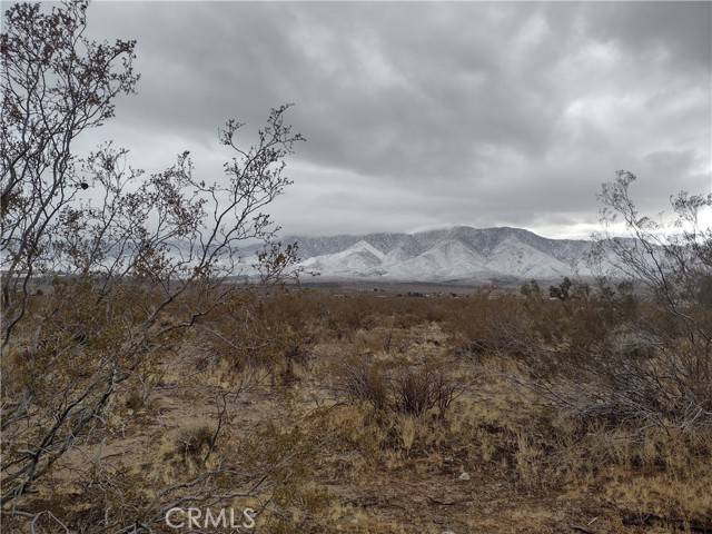 Lucerne Valley, CA 92356,10 Banta Road