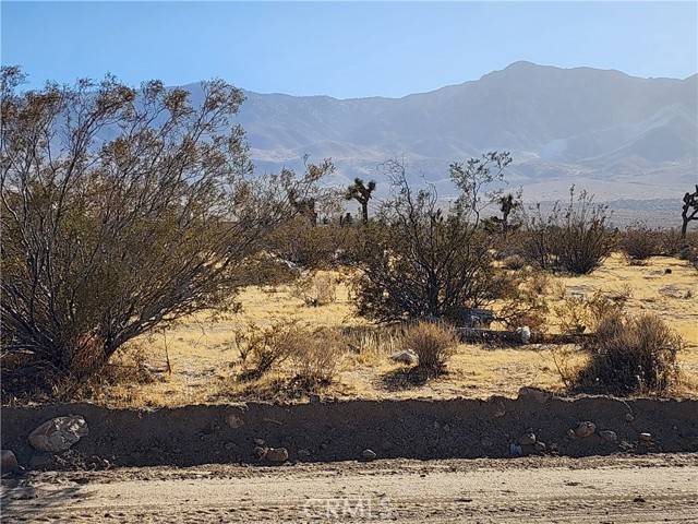 Lucerne Valley, CA 92356,507 Pawnee Street