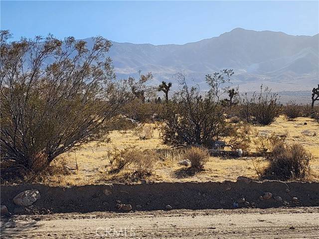 Lucerne Valley, CA 92356,507 Pawnee Street