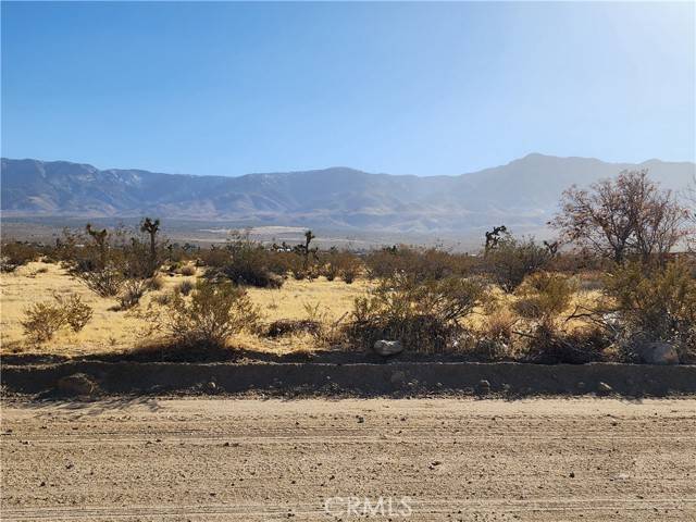 Lucerne Valley, CA 92356,507 Pawnee Street