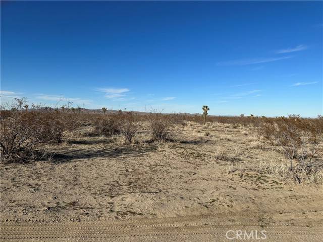 Victorville, CA 92394,8 Desert Flower Road