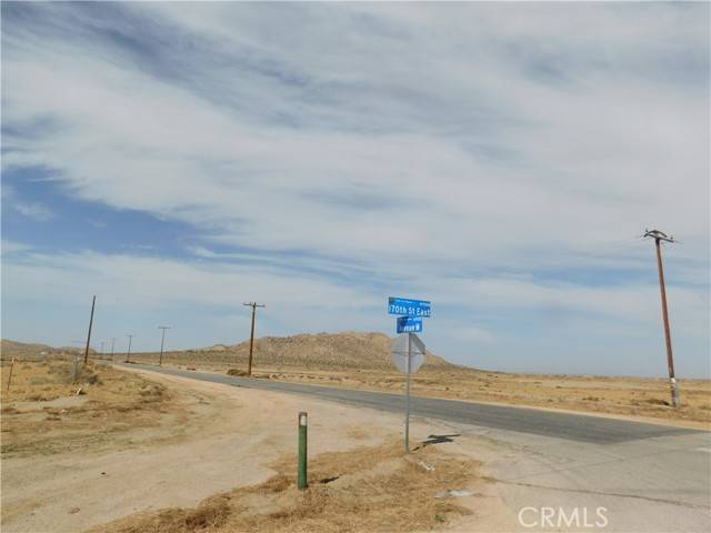 Lake Los Angeles, CA 93536,6 Avenue M