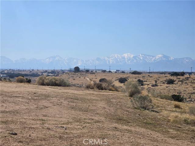 Oak Hills, CA 92344,90169 Palm Street