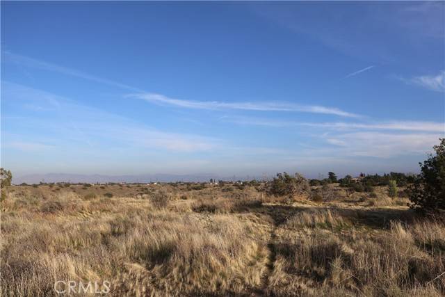 Oak Hills, CA 92344,9955 Macron Street