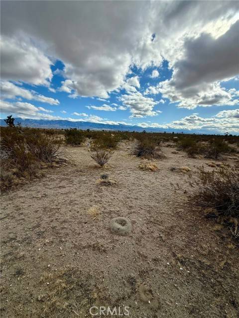 Pinon Hills, CA 92372,31005410 4 Dos Palmas Avenue