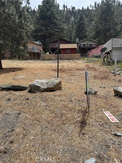 Wrightwood, CA 92397,999 Buckthorn Road