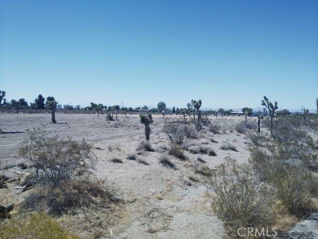 Pinon Hills, CA 92372,0 Pionero Road