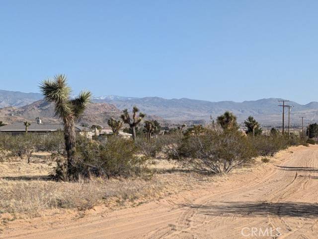 Apple Valley, CA 92307,0 Cuyama Road