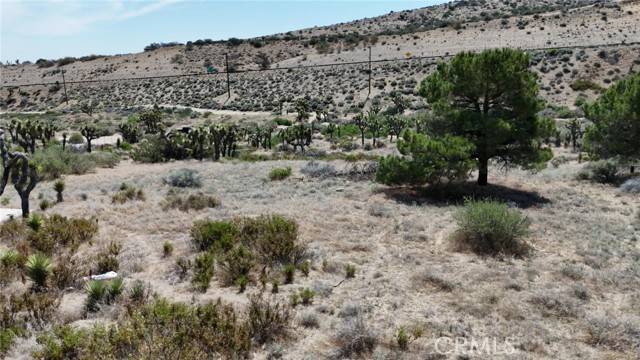 Pinon Hills, CA 92372,0 Pipeline