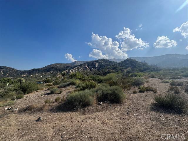Phelan, CA 92371,0 Stuveling Street
