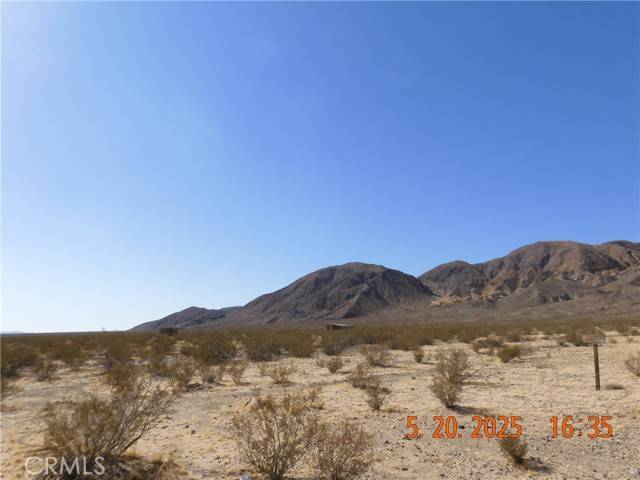 Yermo, CA 92398,0 Palma Vista