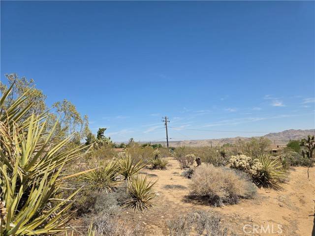 Joshua Tree, CA 92252,0 La Mirada Trail