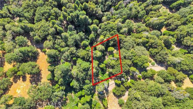 Cedarpines Park, CA 92322,0 Mojave River Road