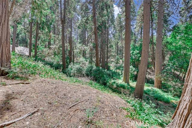 Crestline, CA 92325,590 Electra Drive