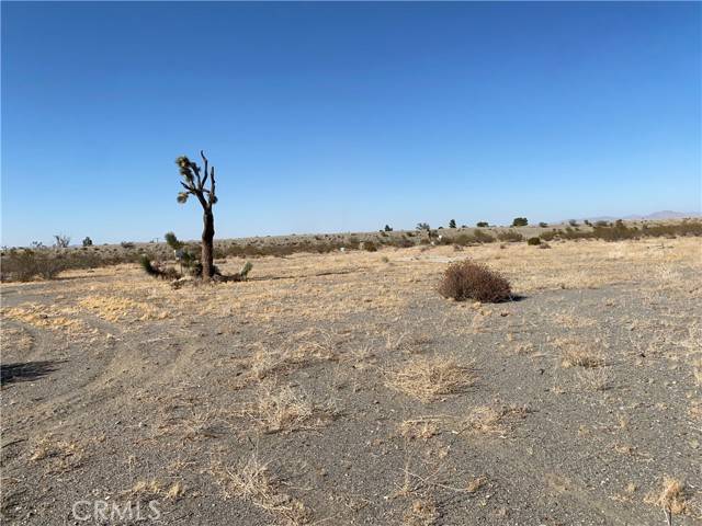 Phelan, CA 92371,0 Lebec Road