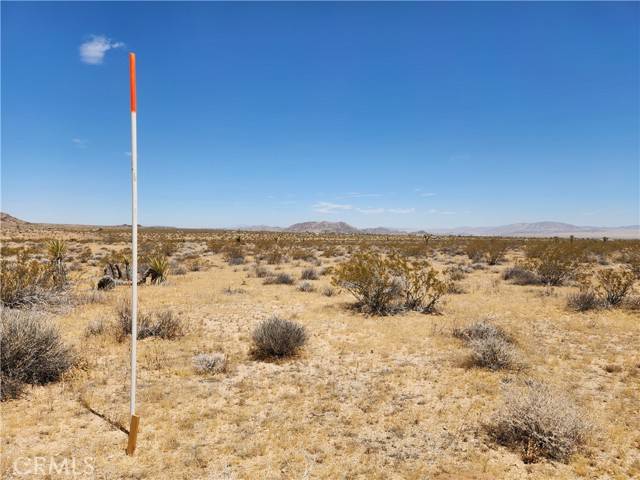 Joshua Tree, CA 92252,15 Bowman Trail