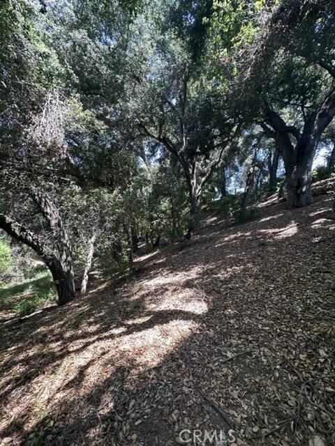 Yucaipa, CA 92399,0 Oak Mountain Drive