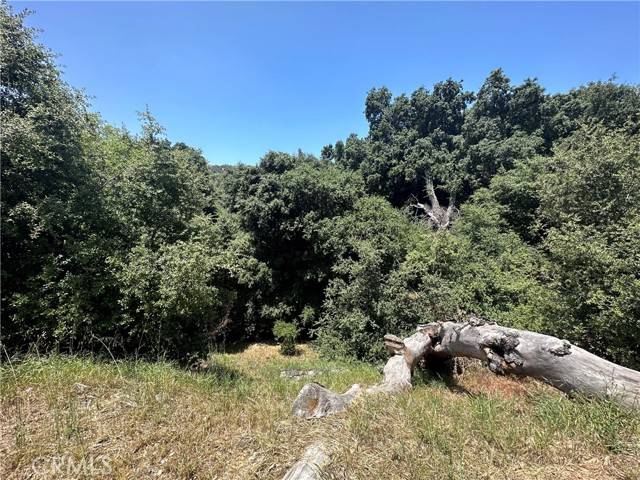 Yucaipa, CA 92399,0 Oak Mountain Drive