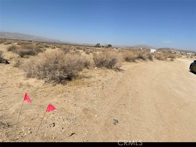 Joshua Tree, CA 92252,0 Reagan Road