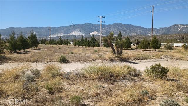 Lucerne Valley, CA 92356,0 Ca-18