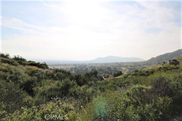 Moreno Valley, CA 92555,0 Kalmia