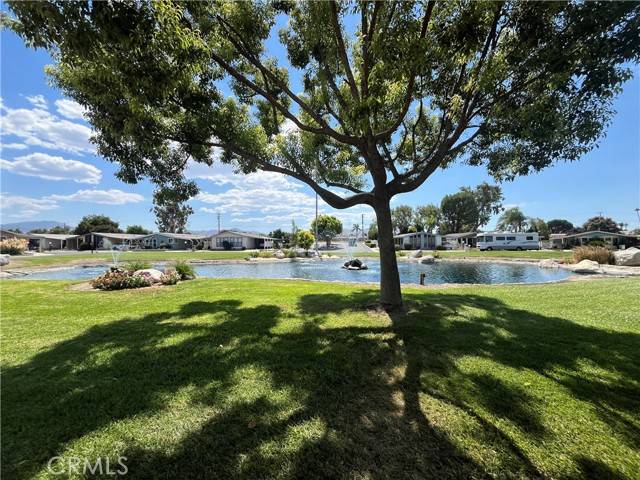 Hemet, CA 92544,24600 Mountain Avenue #119