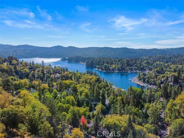 Lake Arrowhead, CA 92352,27613 Alpen Drive