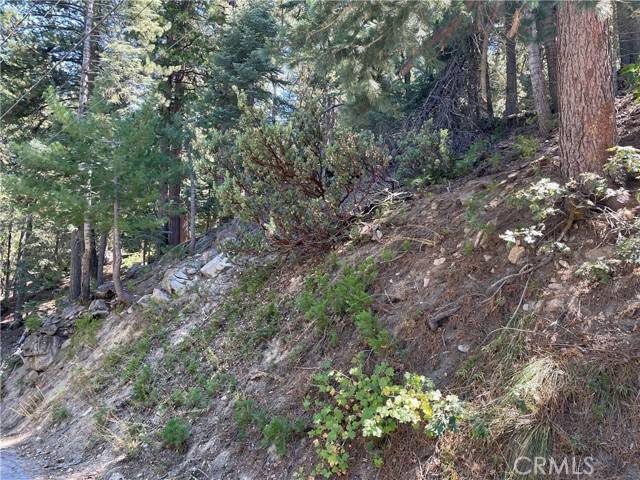 Twin Peaks, CA 92391,28 Lot 28 Forest Lane