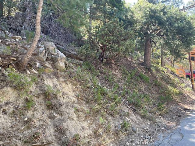 Twin Peaks, CA 92391,28 Lot 28 Forest Lane