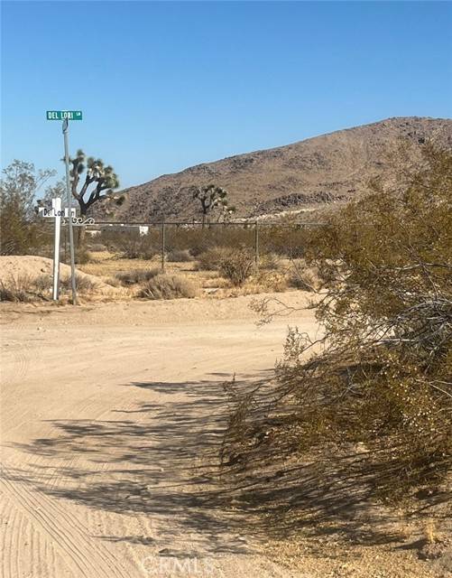 Joshua Tree, CA 92252,0 Campanula Street