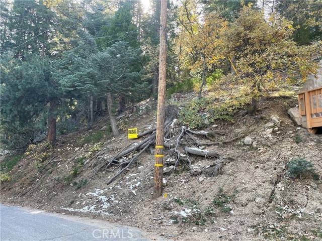 Twin Peaks, CA 92391,29 Lot 29 Forest Lane