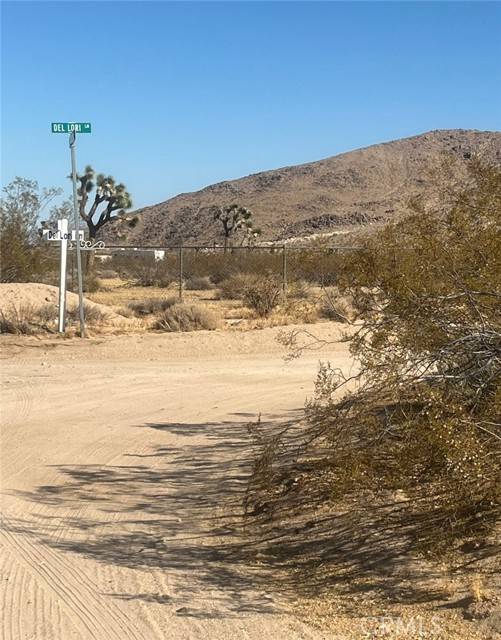 Joshua Tree, CA 92252,0 Campanula Street