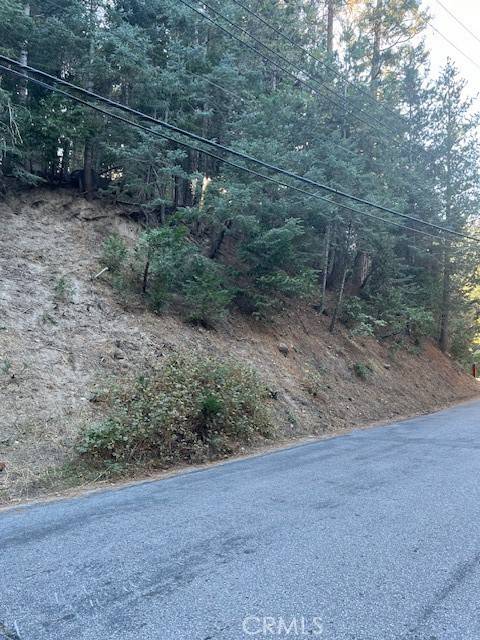 Twin Peaks, CA 92391,0 Lake Forest Drive