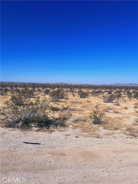 Joshua Tree, CA 92252,29 Palms Highway