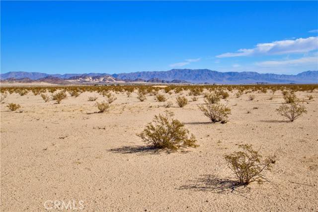 Twentynine Palms, CA 92277,40 Lot 40 Amboy Road