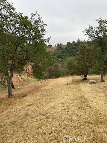 Tehachapi, CA 93561,0 Peregrine Place