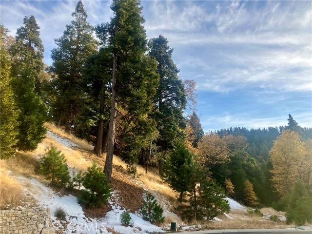 Lake Arrowhead, CA 92352,285 Hidden Forest Road