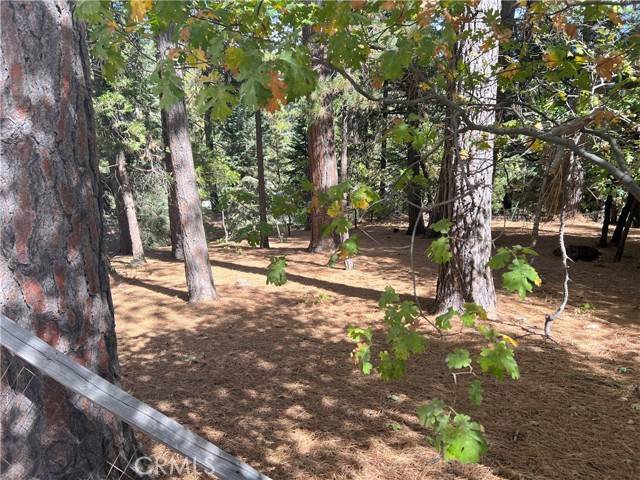 Running Springs, CA 92382,2481 Whispering Pines Drive