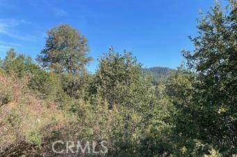 Cedar Glen, CA 92321,0 Pine Drive