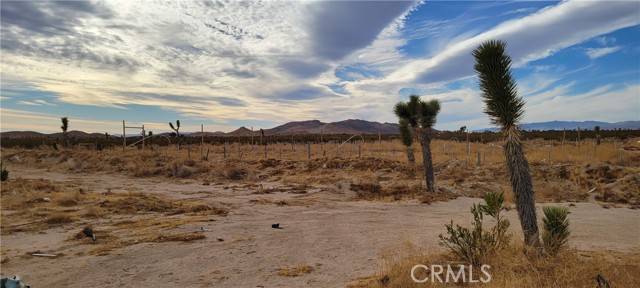 Mojave, CA 93560,0 Sopp