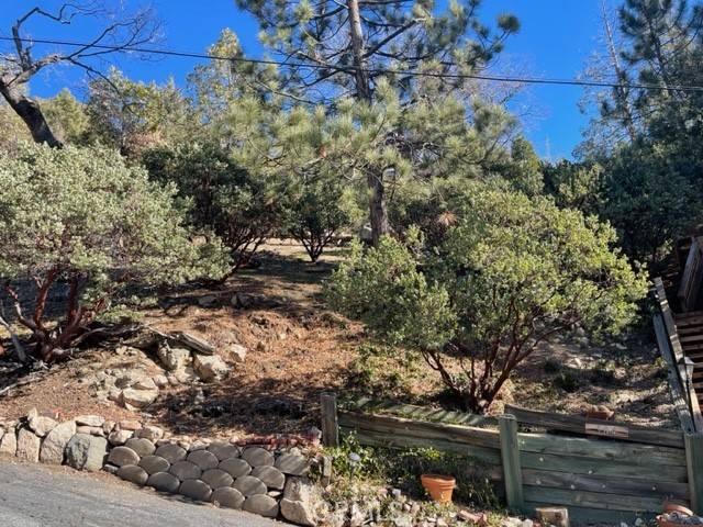 Lake Arrowhead, CA 92352,0 Brentwood Drive