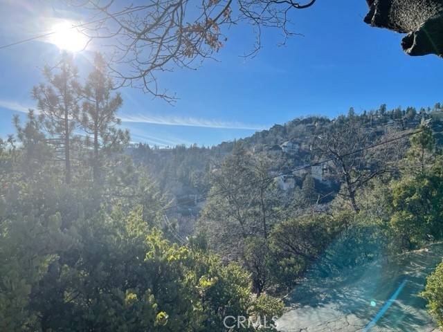 Lake Arrowhead, CA 92352,0 Brentwood Drive