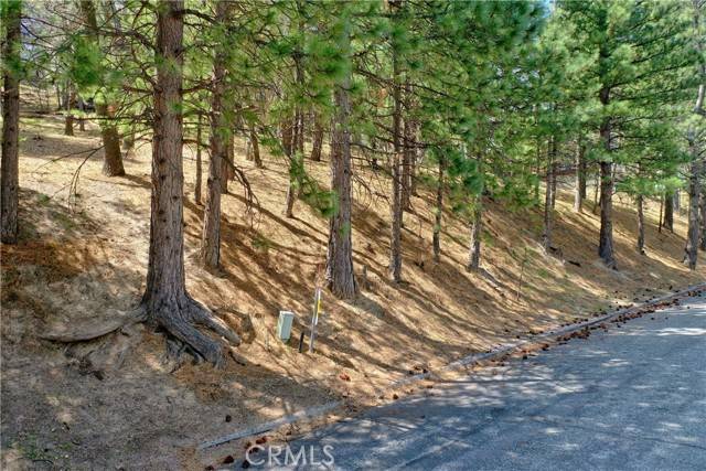Running Springs, CA 92382,0 Pixie Drive