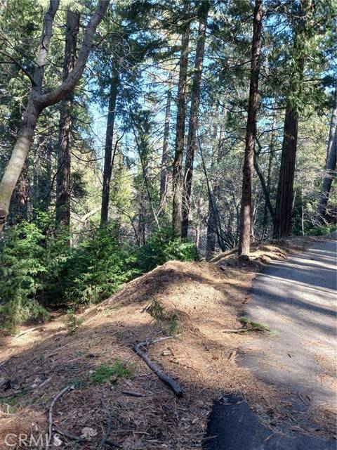 Cedarpines Park, CA 92322,687 Spring Drive