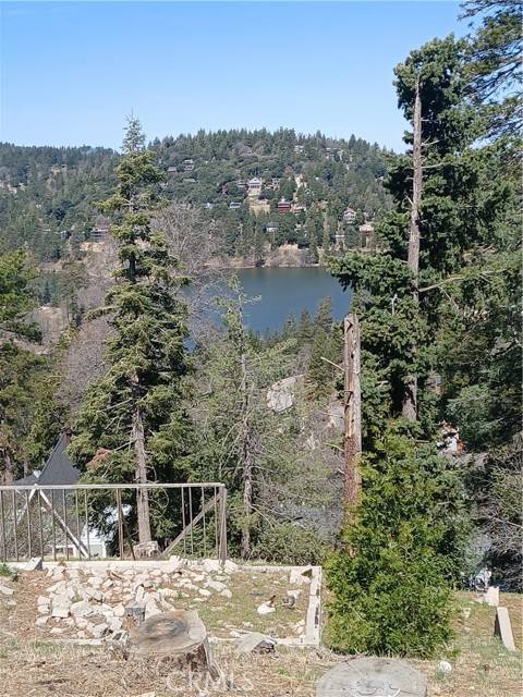 Crestline, CA 92325,839 Arbula Drive