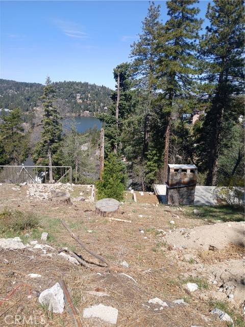 Crestline, CA 92325,839 Arbula Drive
