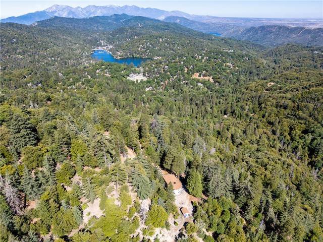 Crestline, CA 92325,721 Chillon Drive